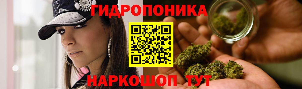 Камышлов  Конопля OG Kush  Вход с VPN  Бошки Шишки Bruce Banner  Каннабис THC 21% 